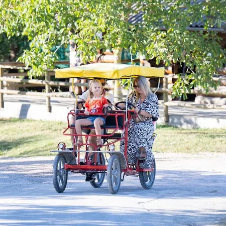 Camping Spacieux Avec Terrasse Pour 8 Personnes - Api-1-52-1342 Dienné
